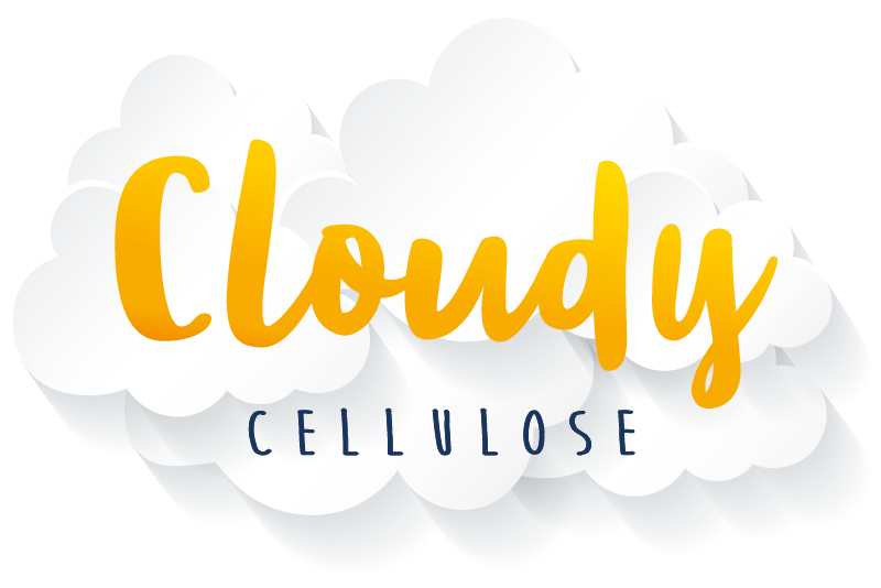 logo cloudy